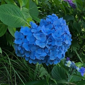 Meet your Posher, Jaimie